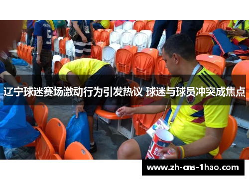 辽宁球迷赛场激动行为引发热议 球迷与球员冲突成焦点
